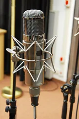 Mario Reithofer recording gallery image 1